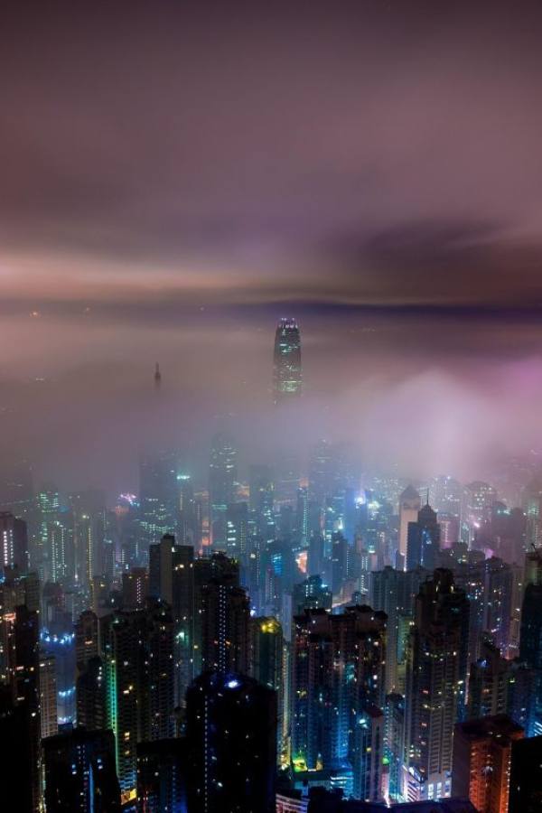 毒枭